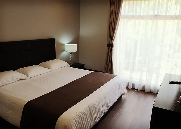 Lamartine 619 Residencial Aparthotel Mexico City
